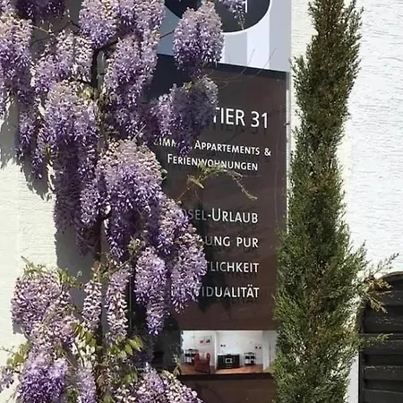 Mosel - River - Quartier 31 Gæstehus 3*
