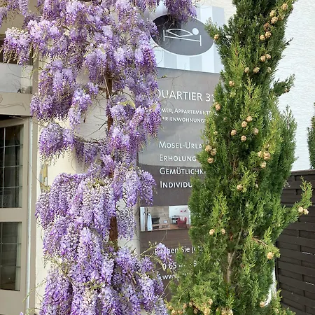 Mosel - River - Quartier 31 Pensjonat 3*