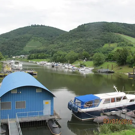 Mosel - River - Quartier 31 Lieser