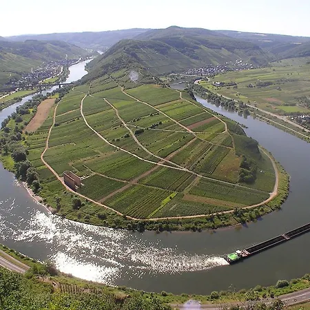 Mosel - River - Quartier 31 Lieser