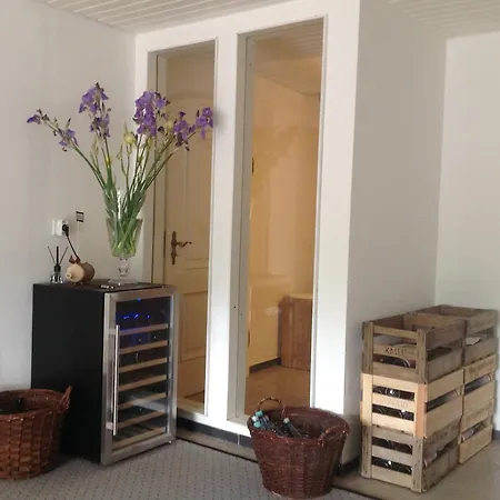 Mosel - River - Quartier 31 Guest house Lieser