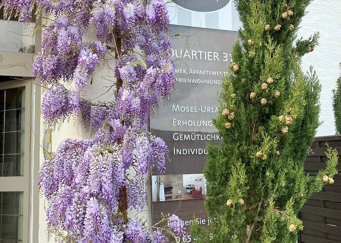 Mosel - River - Quartier 31 Gasthof 3*